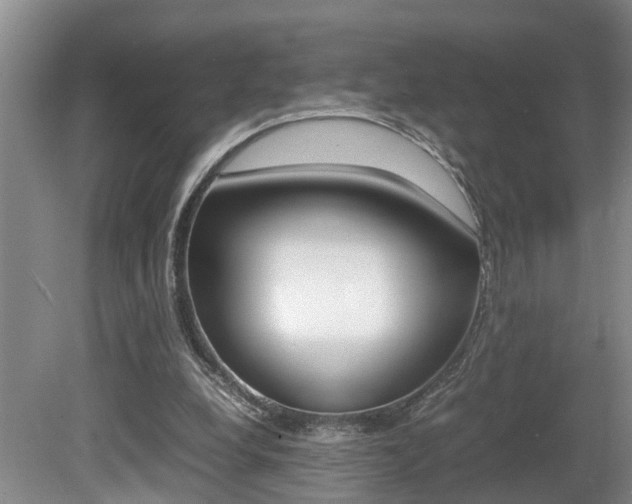X0000080750248200612151005