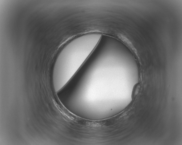 X0000080750249200612151005