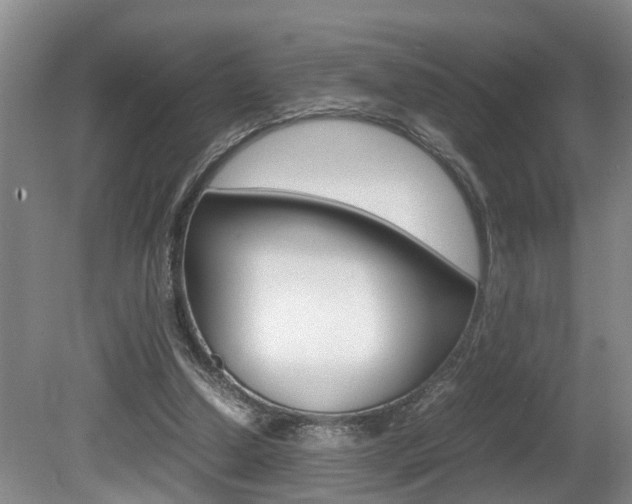 X0000080750250200612151005