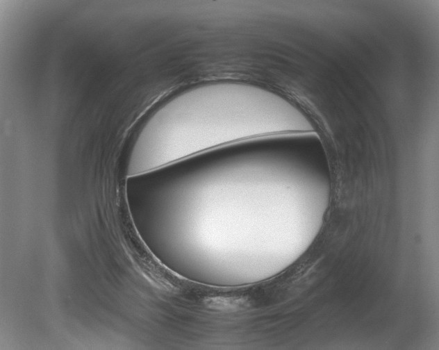 X0000080750251200612151005
