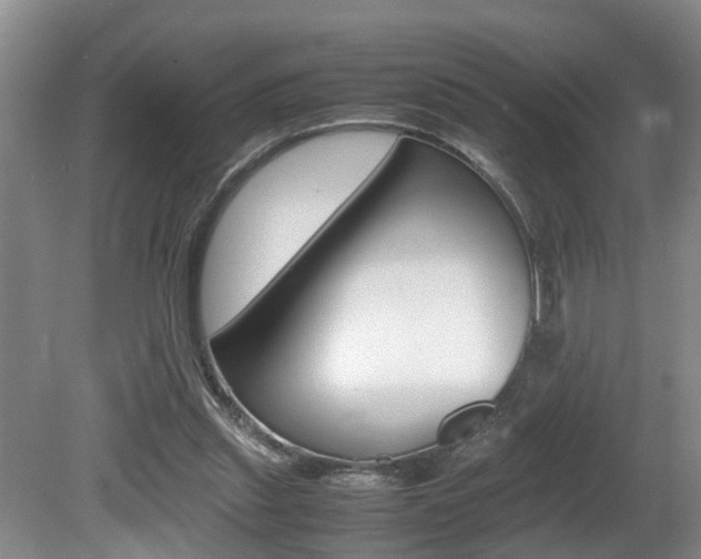 X0000080750253200612151005