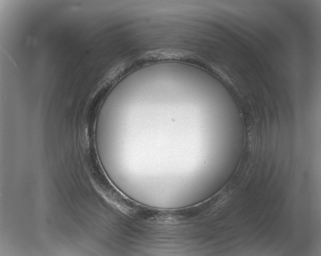 X0000080750254200612151005