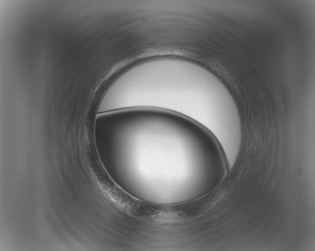 X0000080750256200612151005