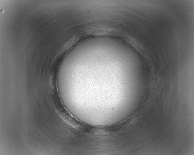 X0000080750258200612151005