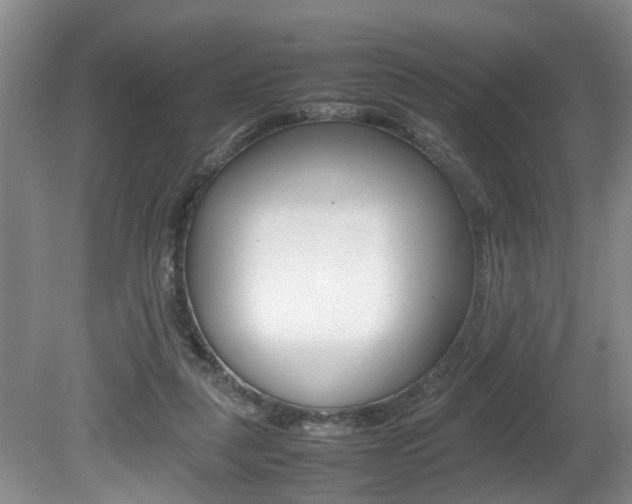 X0000080750259200612151005