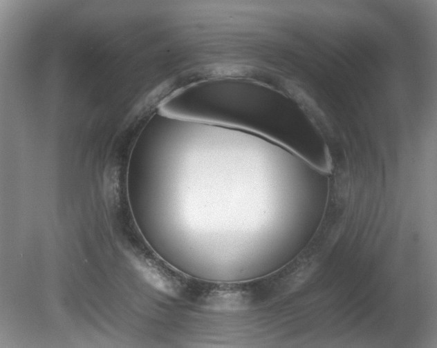 X0000080750260200612151005