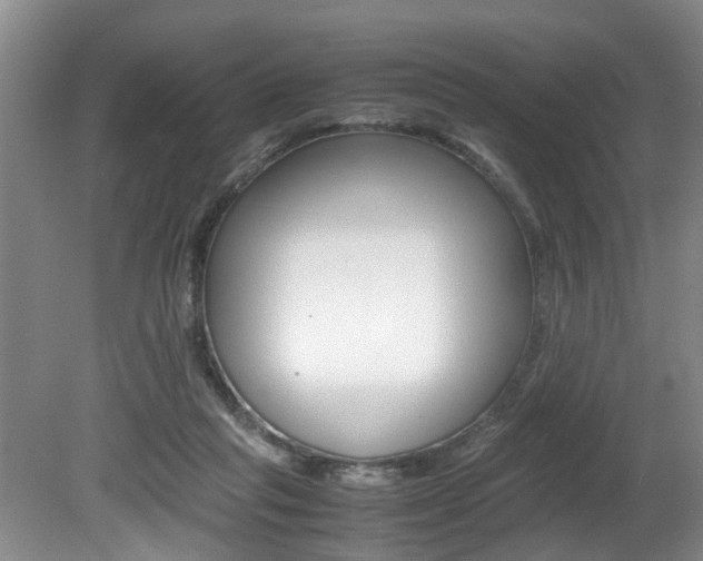 X0000080750261200612151005