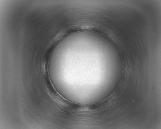 X0000080750262200612151005