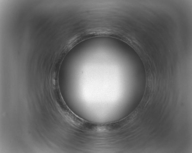 X0000080750264200612151005