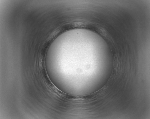 X0000080750266200612151005