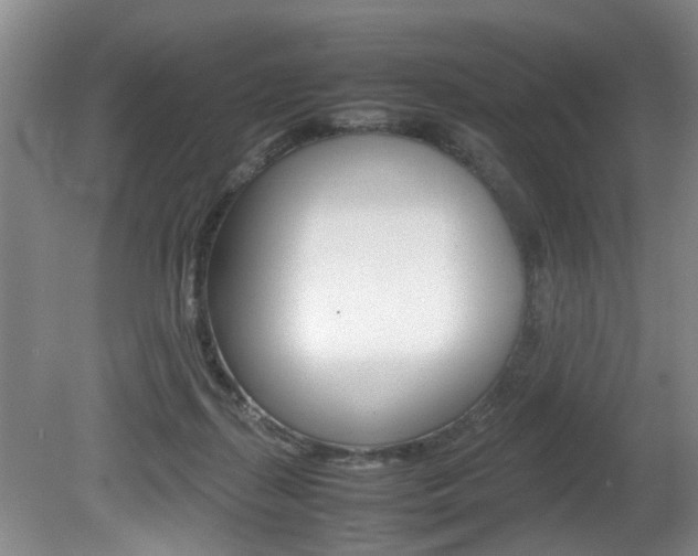 X0000080750267200612151005