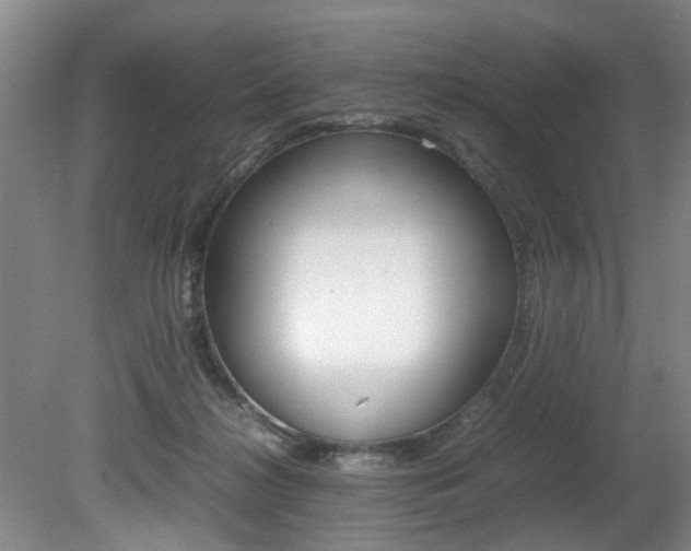 X0000080750268200612151005