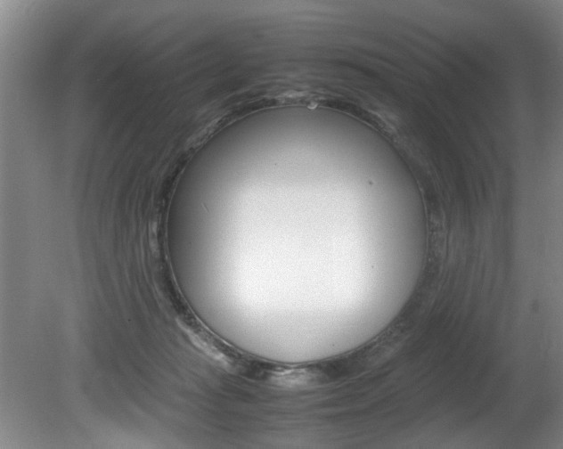X0000080750269200612151005