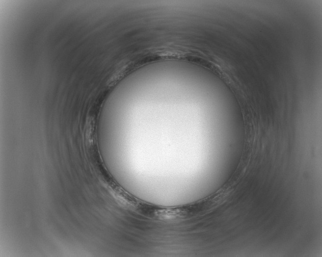 X0000080750273200612151005
