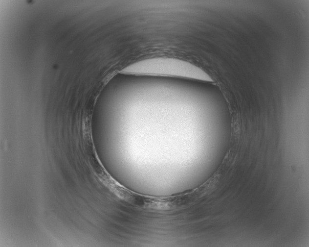 X0000080750276200612151005