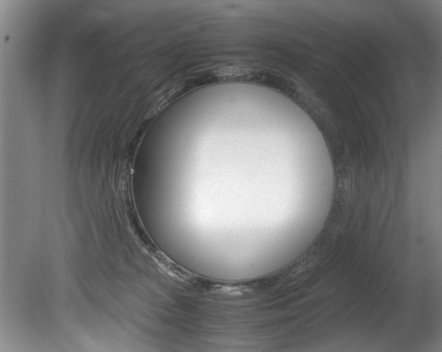 X0000080750277200612151005