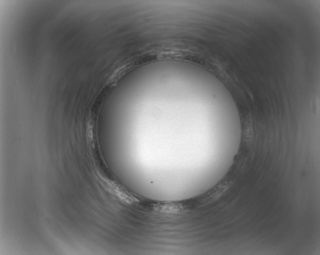X0000080750282200612151006