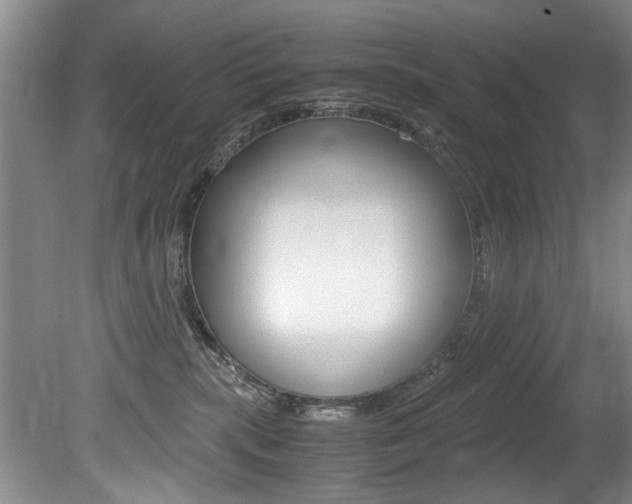 X0000080750283200612151006
