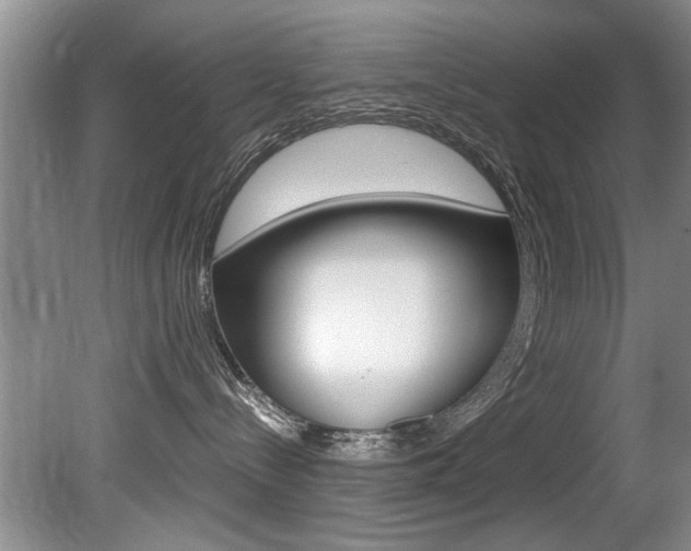 X0000080750288200612151006
