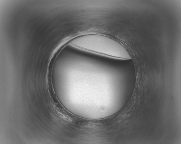 X0000080750292200612151005