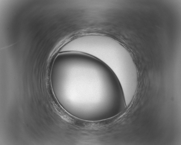 X0000080750293200612151005