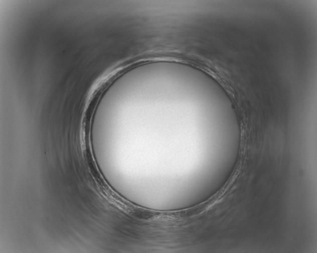 X0000080750294200612151005