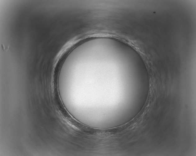 X0000080750296200612151005