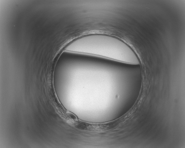 X0000080750297200612151005