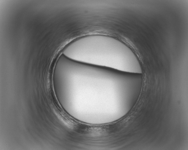X0000080750298200612151005