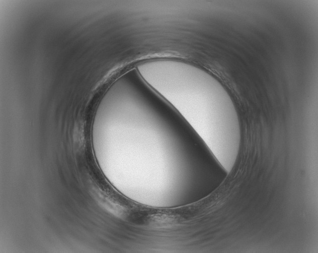 X0000080750300200612151005
