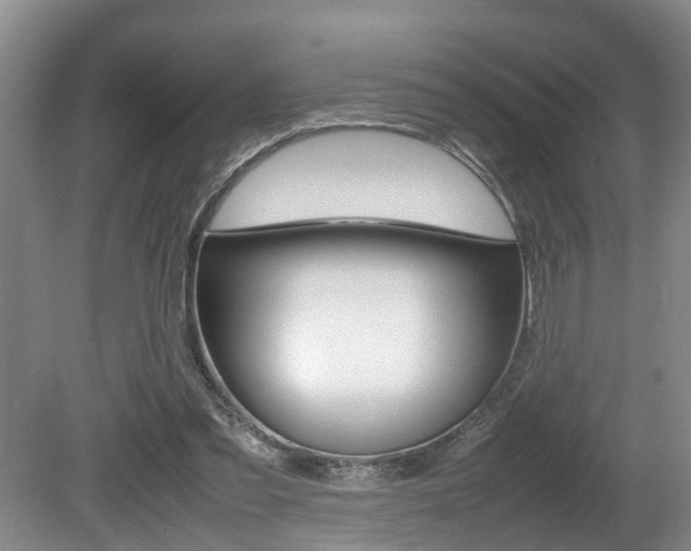 X0000080750301200612151005