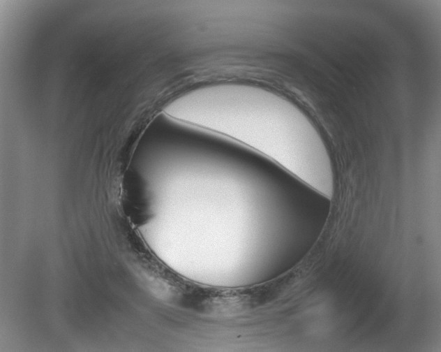 X0000080750307200612151005