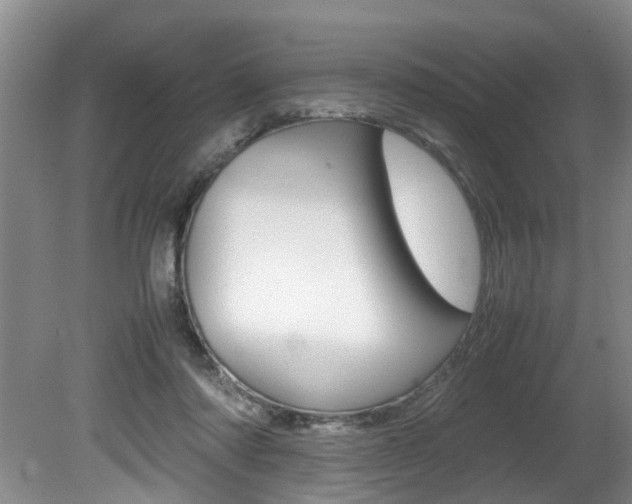 X0000080750310200612151004