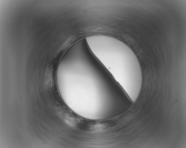 X0000080750312200612151004