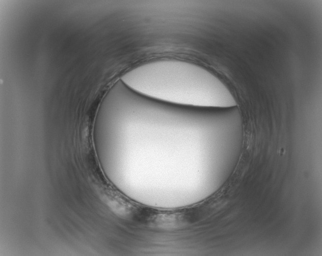 X0000080750314200612151004