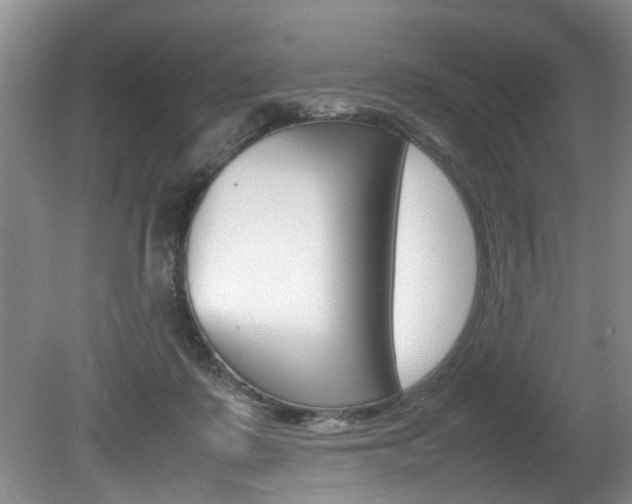 X0000080750315200612151004