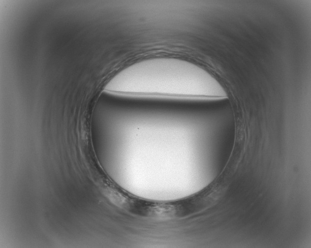 X0000080750317200612151004