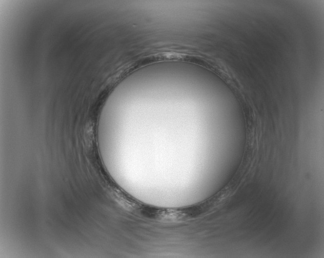 X0000080750321200612151004