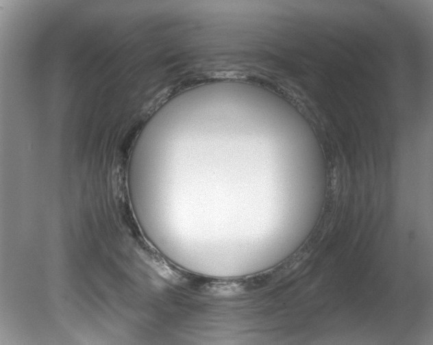 X0000080750322200612151004