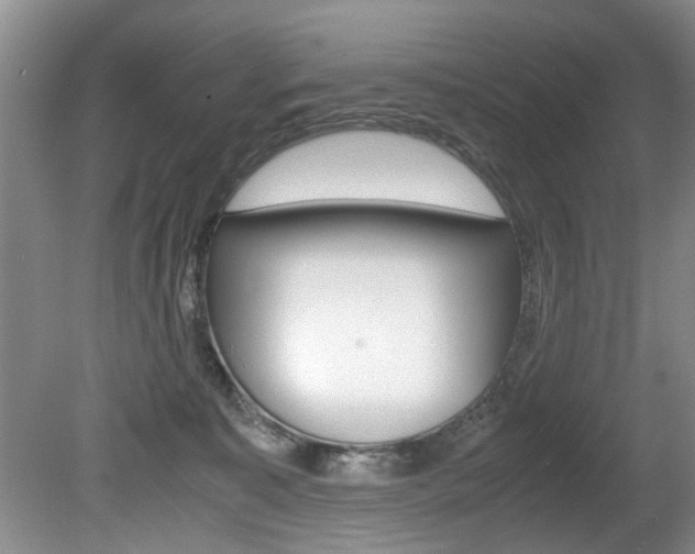 X0000080750323200612151004