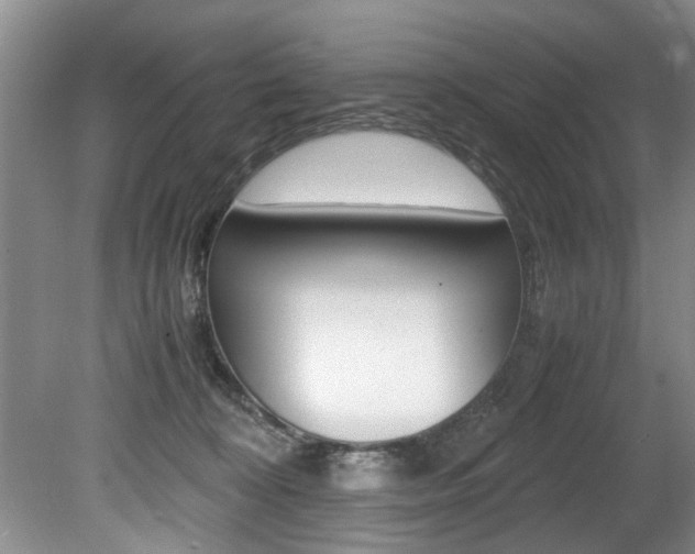 X0000080750324200612151004
