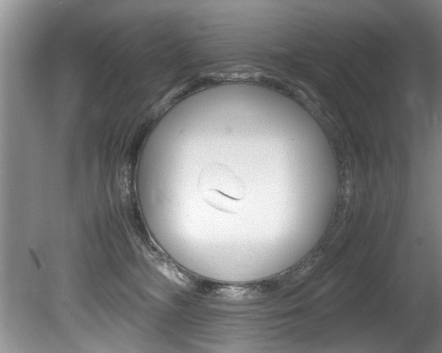 X0000080750326200612151004