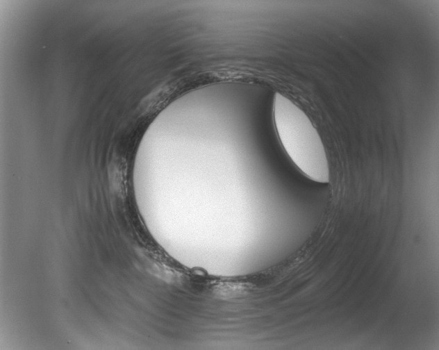 X0000080750332200612151004