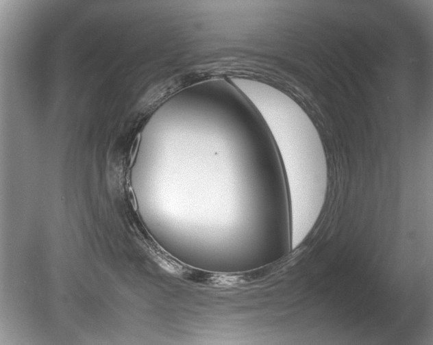 X0000080750333200612151004