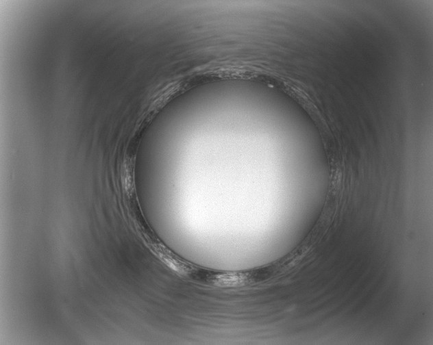 X0000080750335200612151004