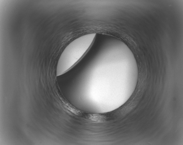 X0000080750336200612151004