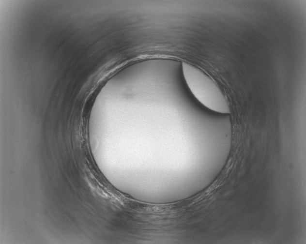 X0000080750338200612151003
