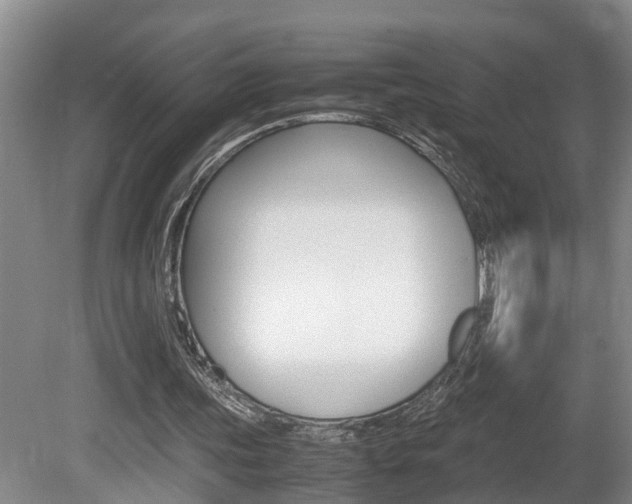 X0000080750339200612151003