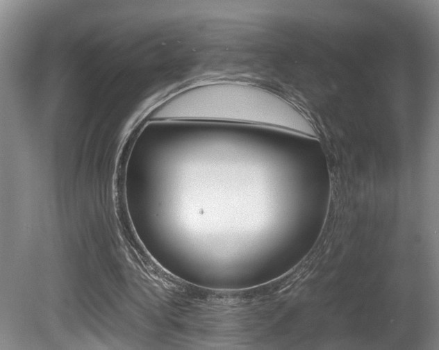 X0000080750340200612151003