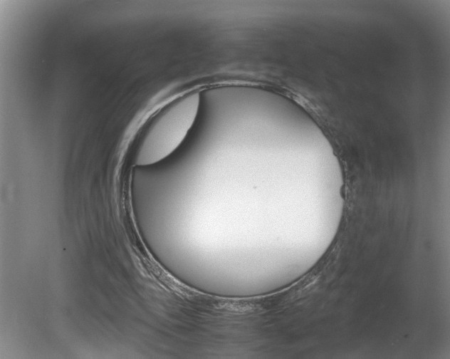 X0000080750343200612151003